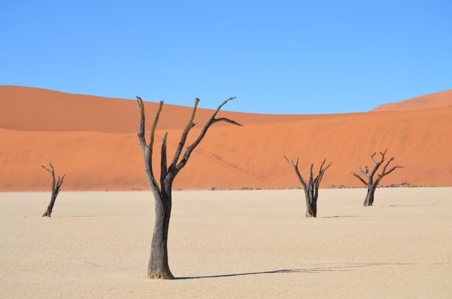 Un paysage du désert namibien.
