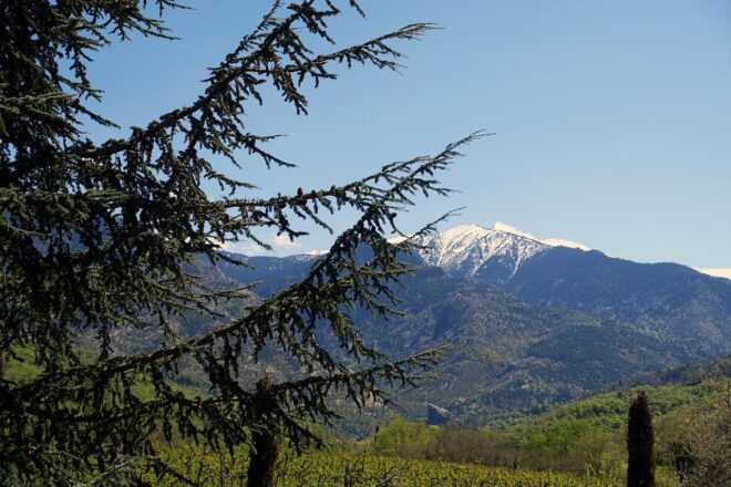 Le pic du Canigou, dans les Pyrénées-Orientales.