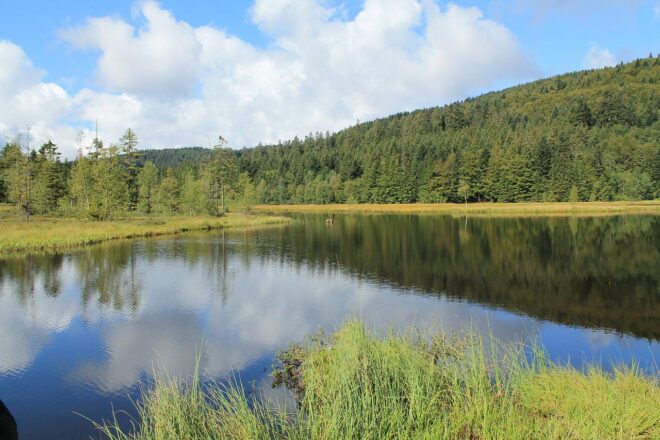 Photo d'illustration. Un paysage des Vosges.