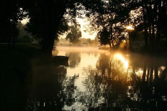 Paysage charentais, à l'aube.