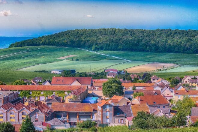 Photo d'illustration. Paysage en Champagne.