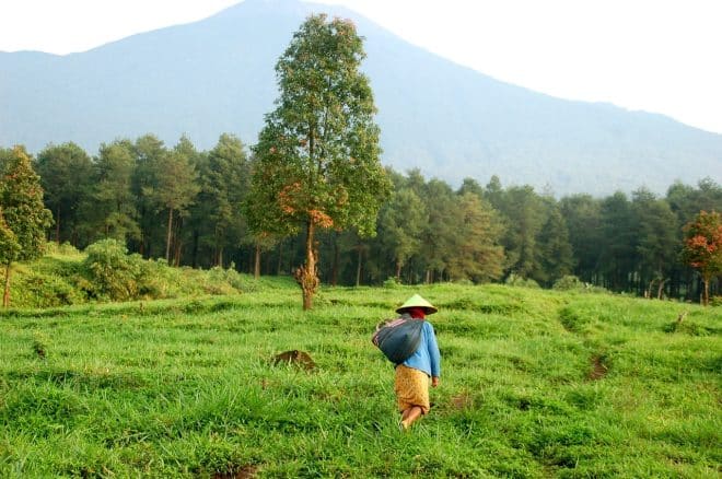 Photo d'illustration. Un paysage de l'île de Java, en Indonésie.