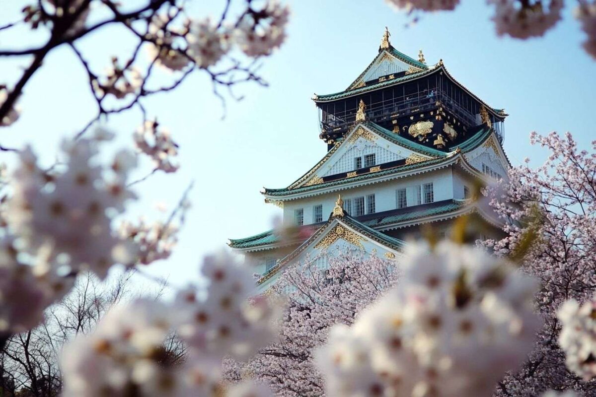 Château d osaka majestueux au printemps