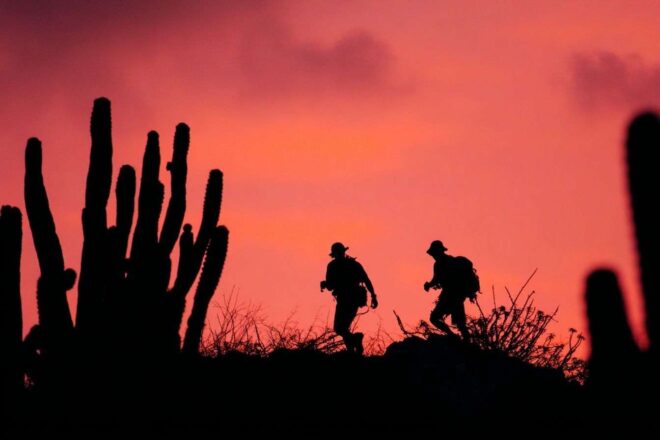 Lever de soleil vibrant sur les sentiers désertiques d aruba