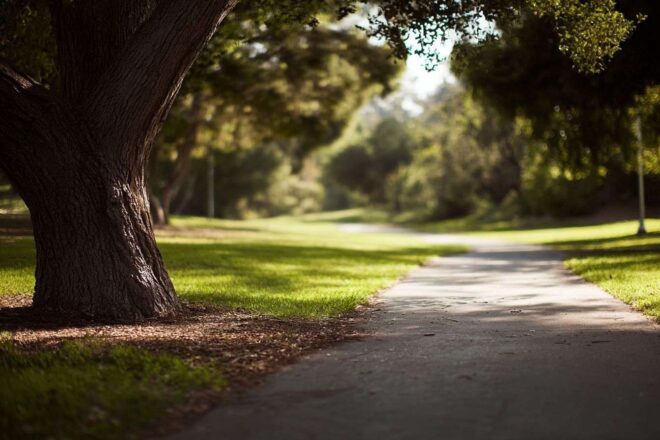 Parc sérénité promenade course activités