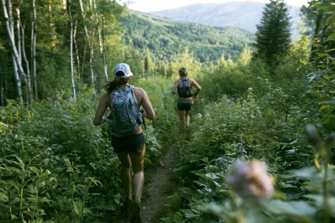 Vue pittoresque d athlètes en mouvement à travers une végétation luxuriante