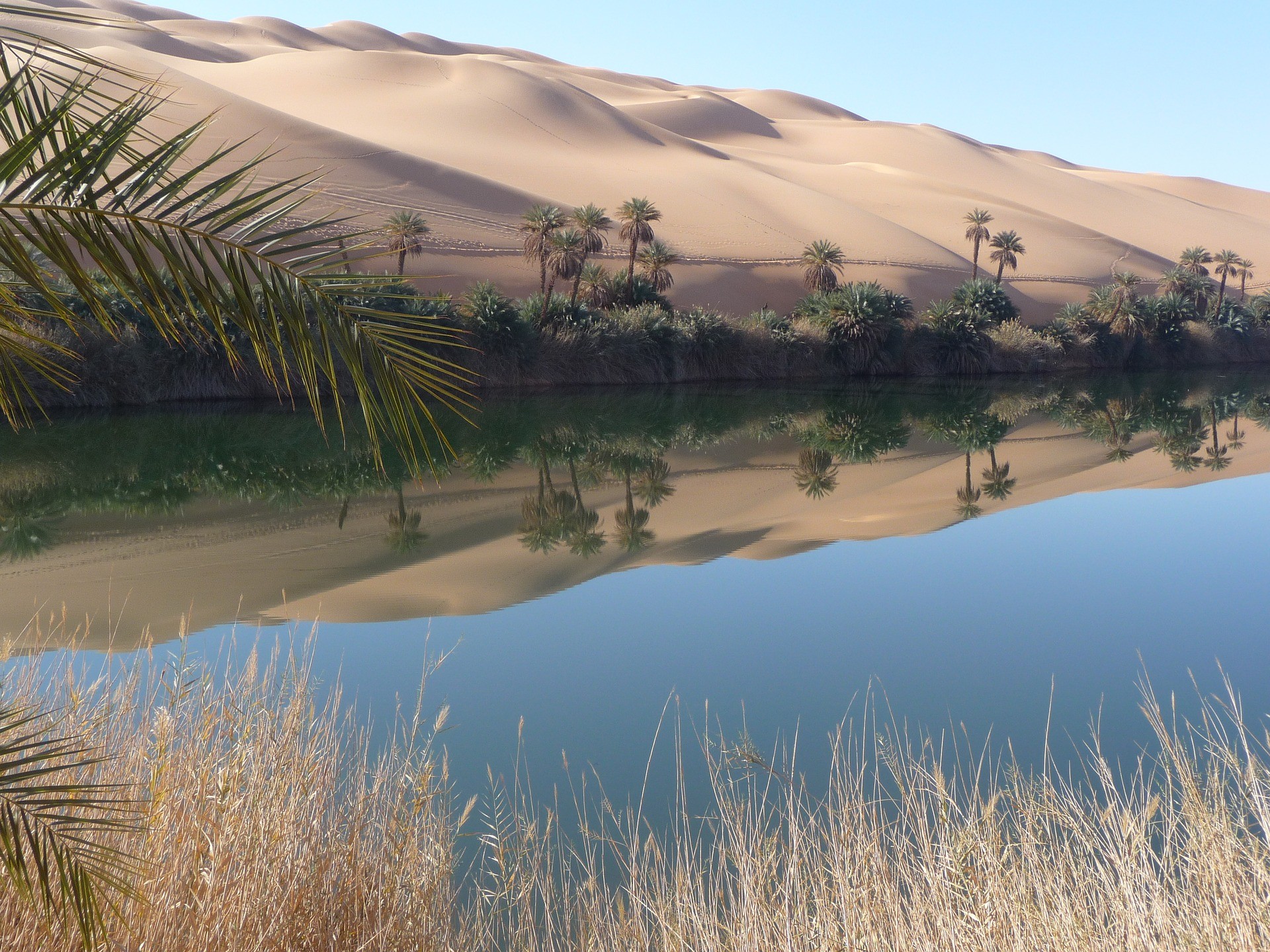 Une oasis en Libye.