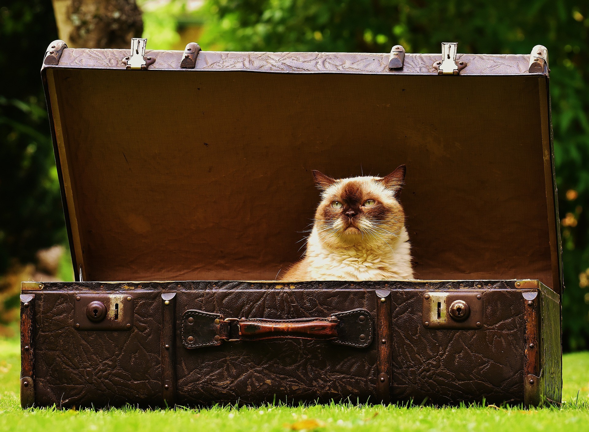 Photo d'illustration. Une valise.