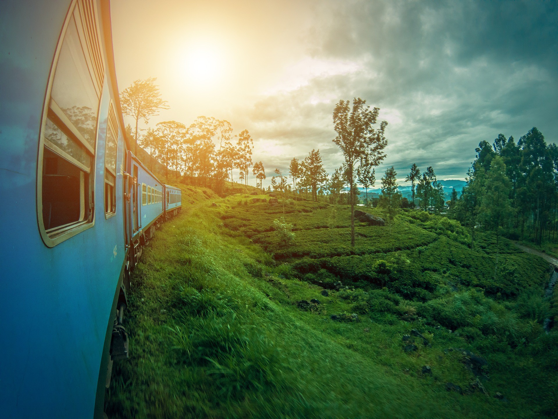 Paysage du Sri Lanka.