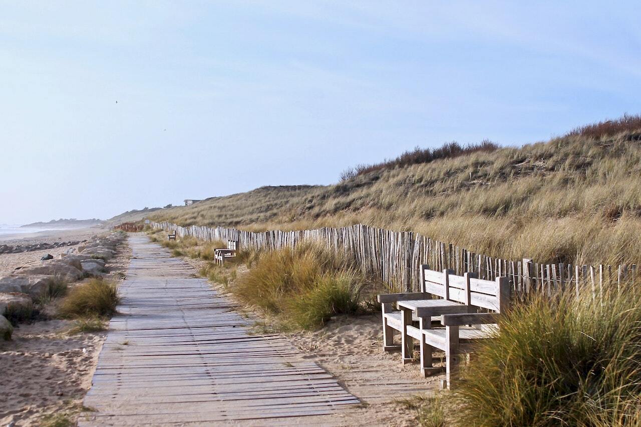 Un paysage de l'île de Ré (Charente-Maritime).