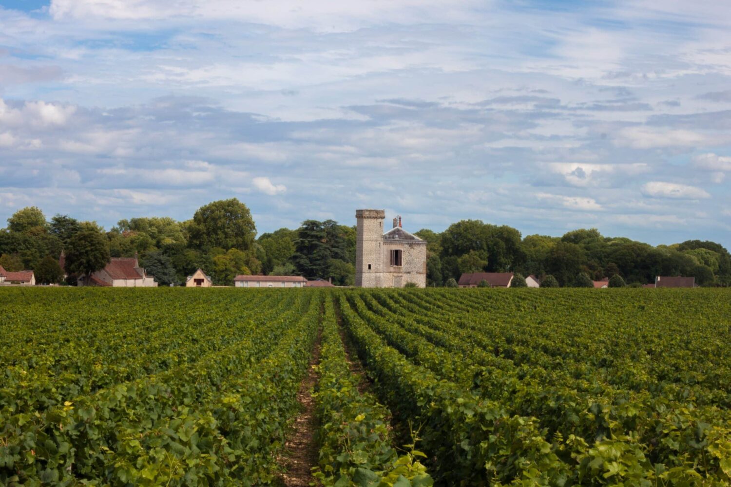 Photo d'illustration. Paysage de Bourgogne.