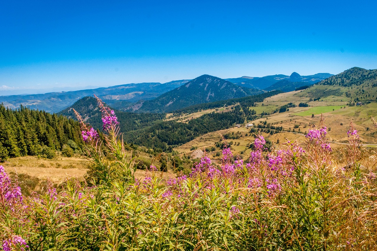 Photo d'illustration. Le mont Mézenc, à la limite Ardèche-Haute-Loire.