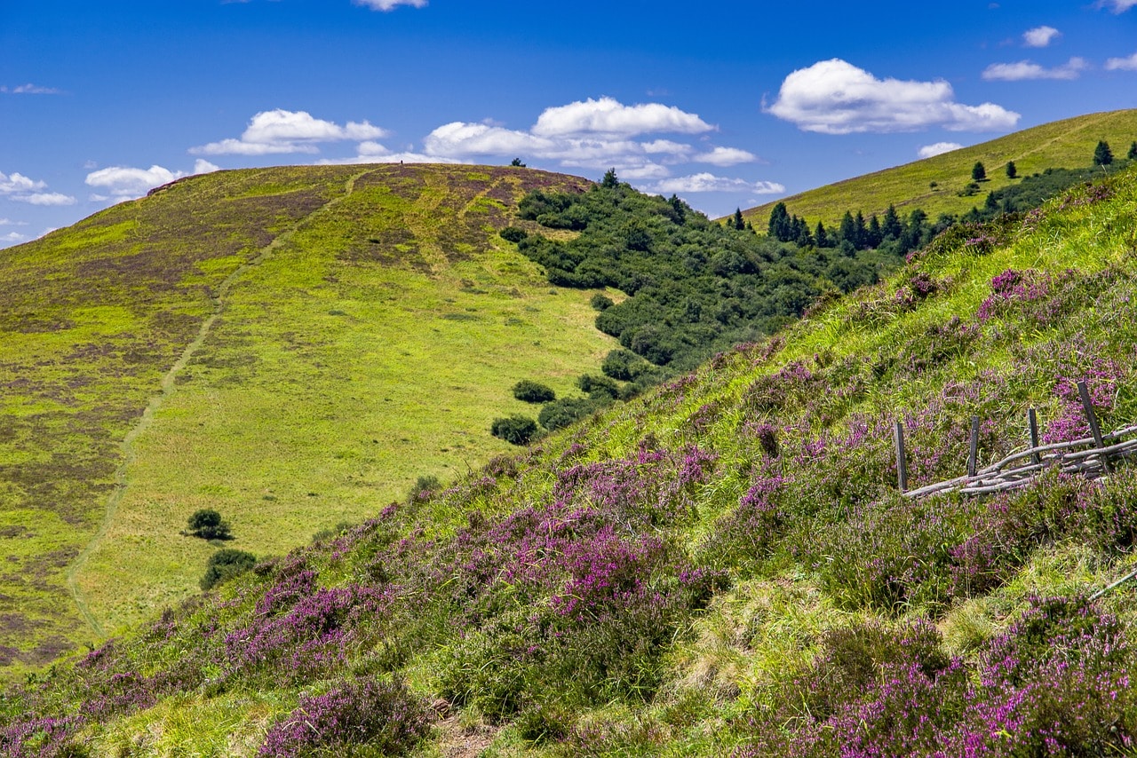 Photo d'illustration. Paysage volcanique du Puy-de-Dôme.