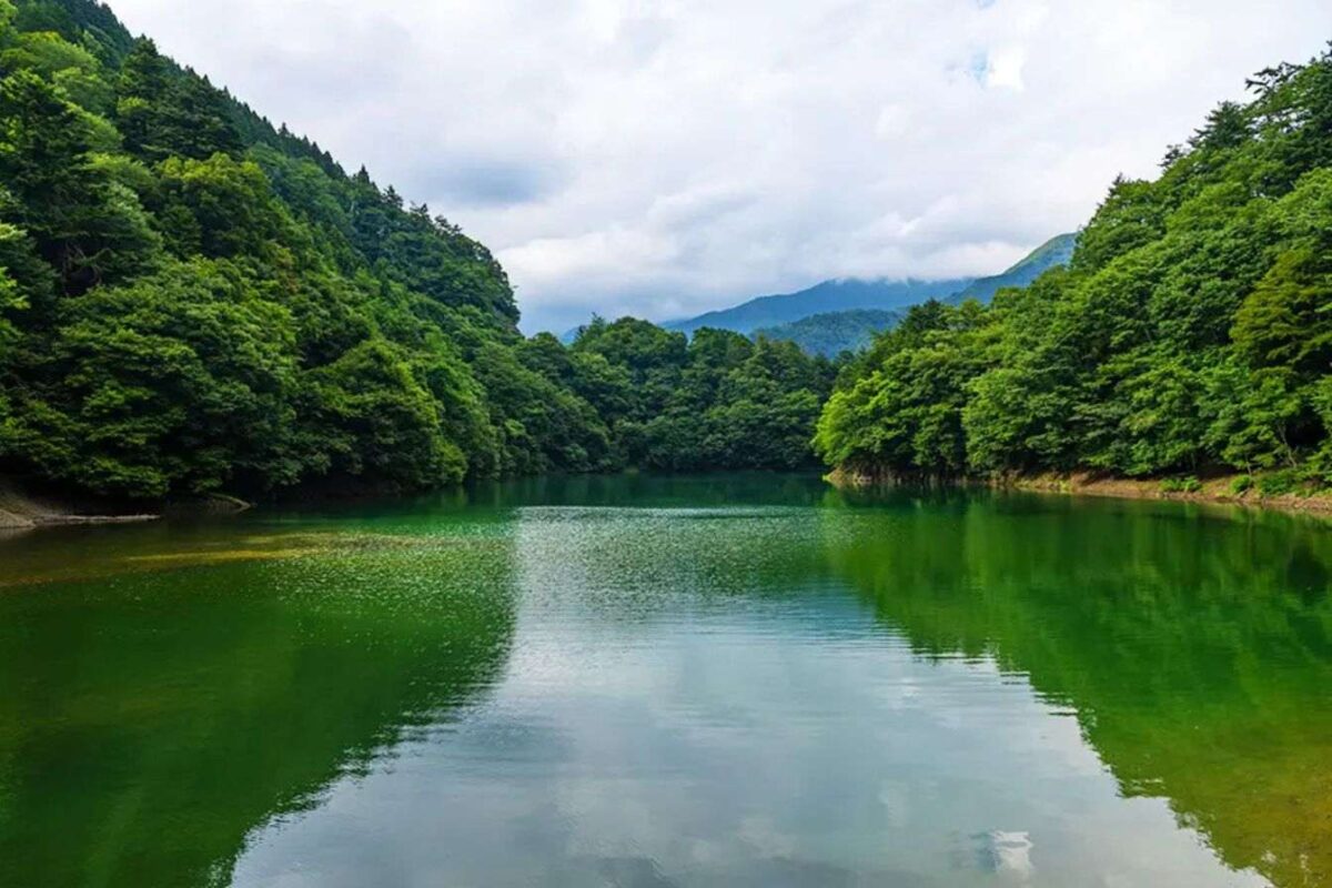 Région Région Montagneuse Okutama