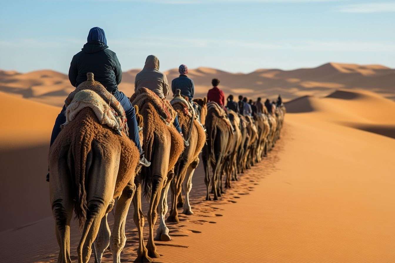Caravane majestueuse de chameaux dans le sahara marocain