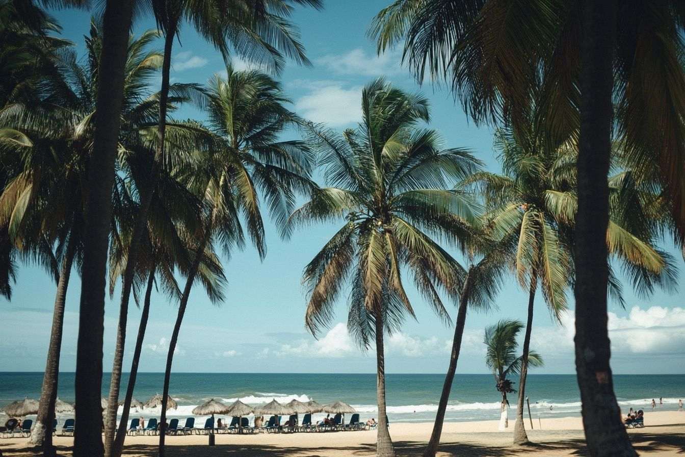 Palmiers et plage du brésil