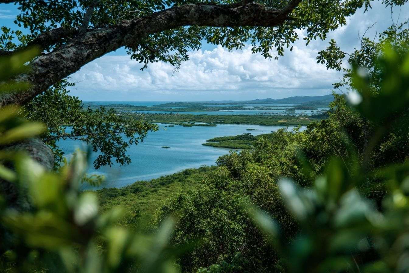 Paysage époustouflant du sentier avec vue sur les eaux bleues captivantes de belize