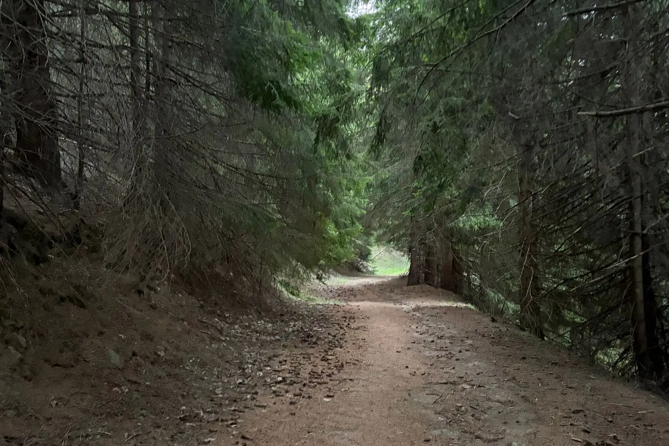 Chemin Cap D'Argent sur le GR52