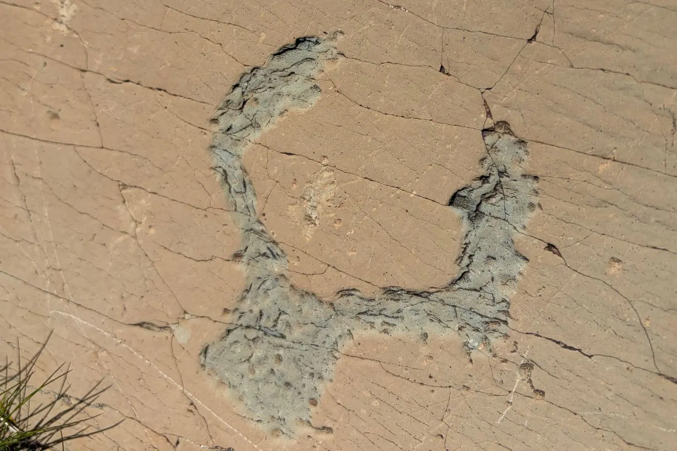 Gravure rupestre sur le GR52