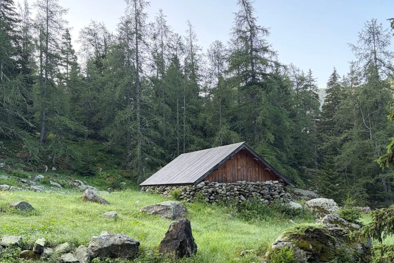 Parcours dans la forêt de Saint Martin-Vésubie
